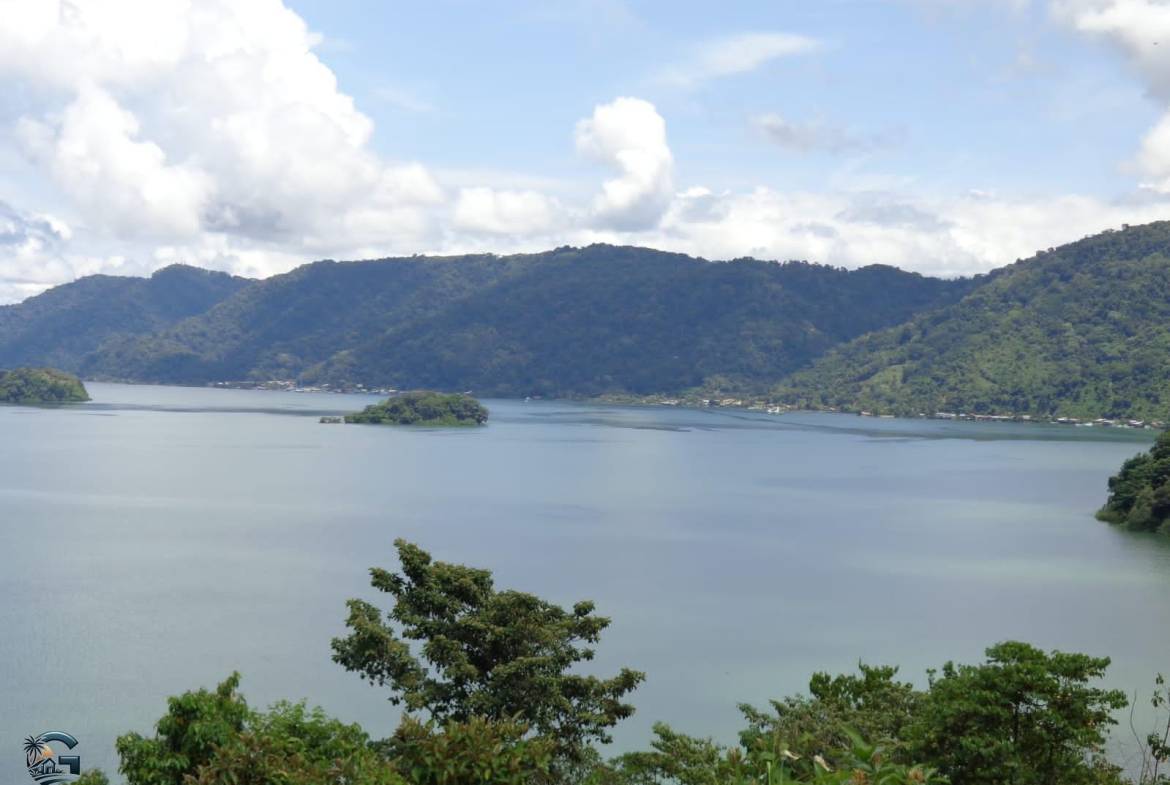 0b83f139-009b-4742-ad76-8e1e476e9541