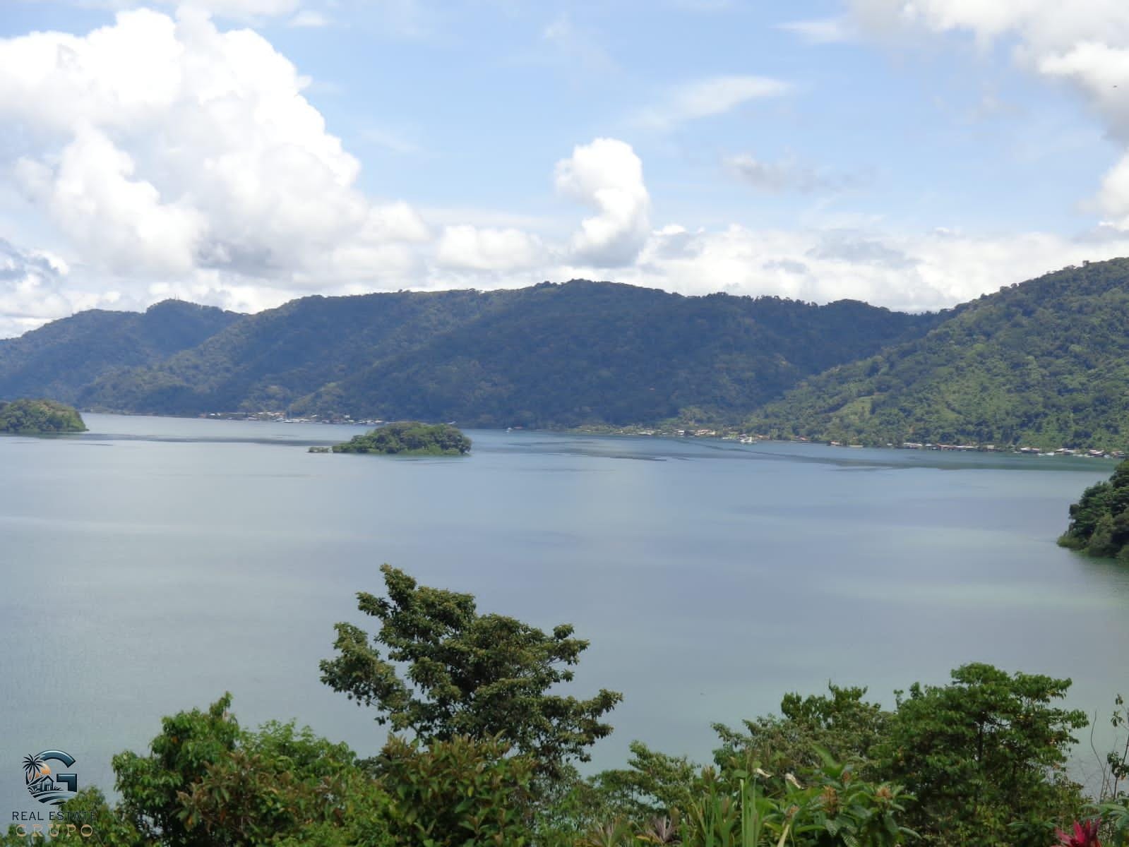 0b83f139-009b-4742-ad76-8e1e476e9541