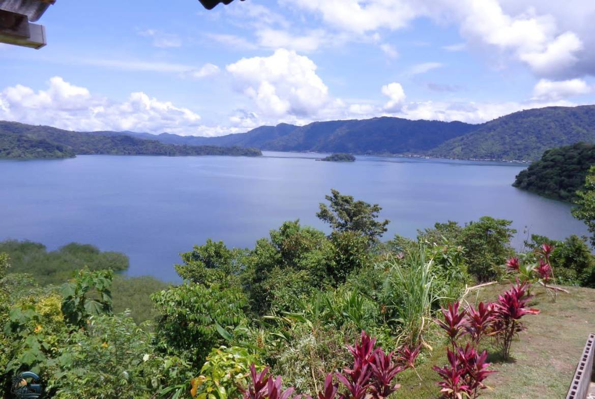 4915d984-d20a-407f-85c5-2572a0ff9098