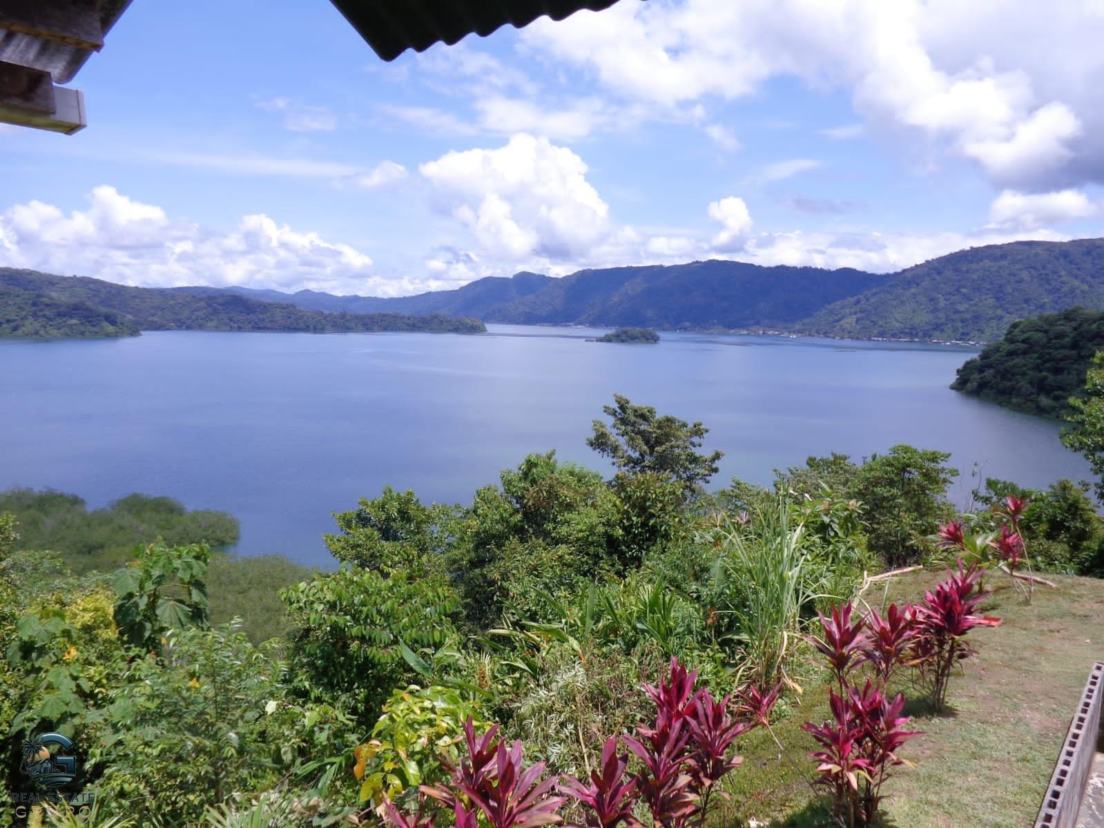 4915d984-d20a-407f-85c5-2572a0ff9098