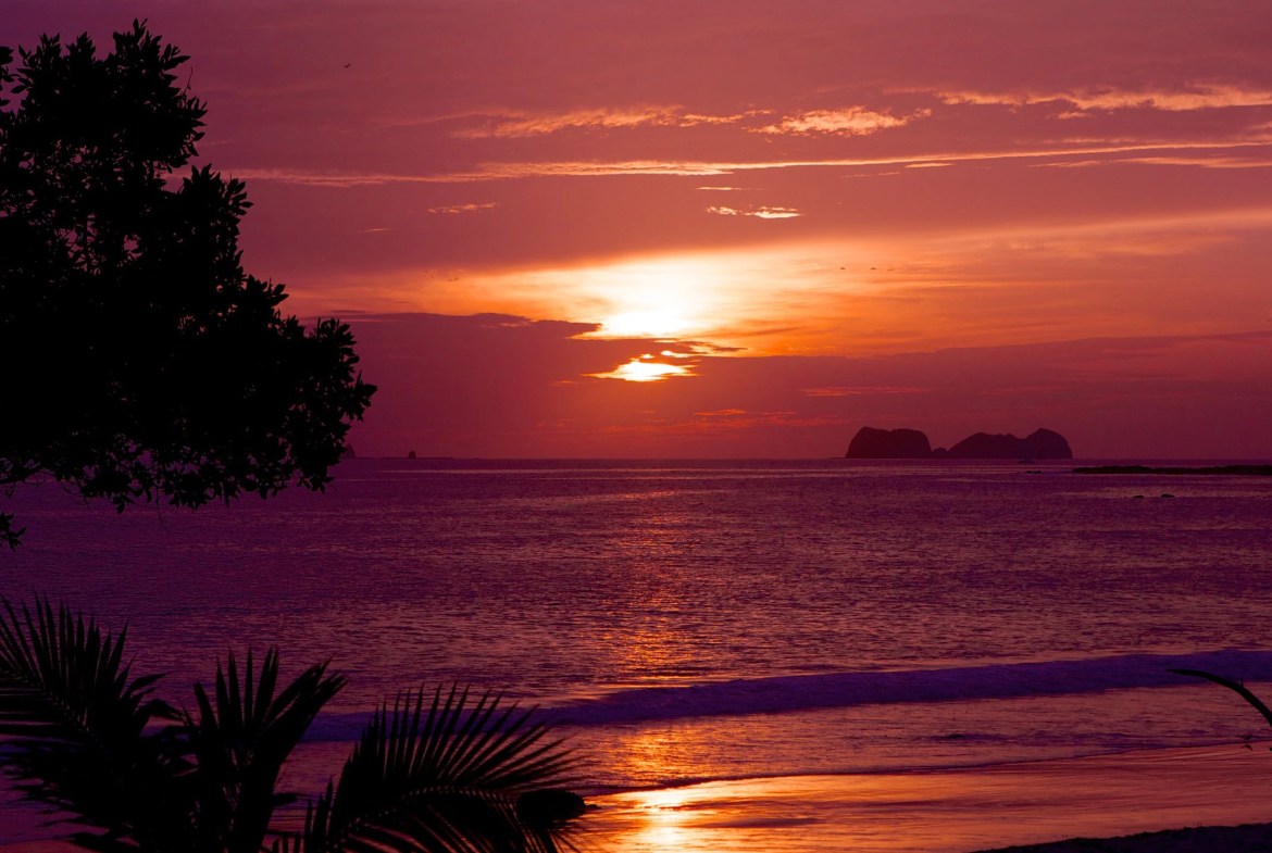 77624-Flamingo-Beach