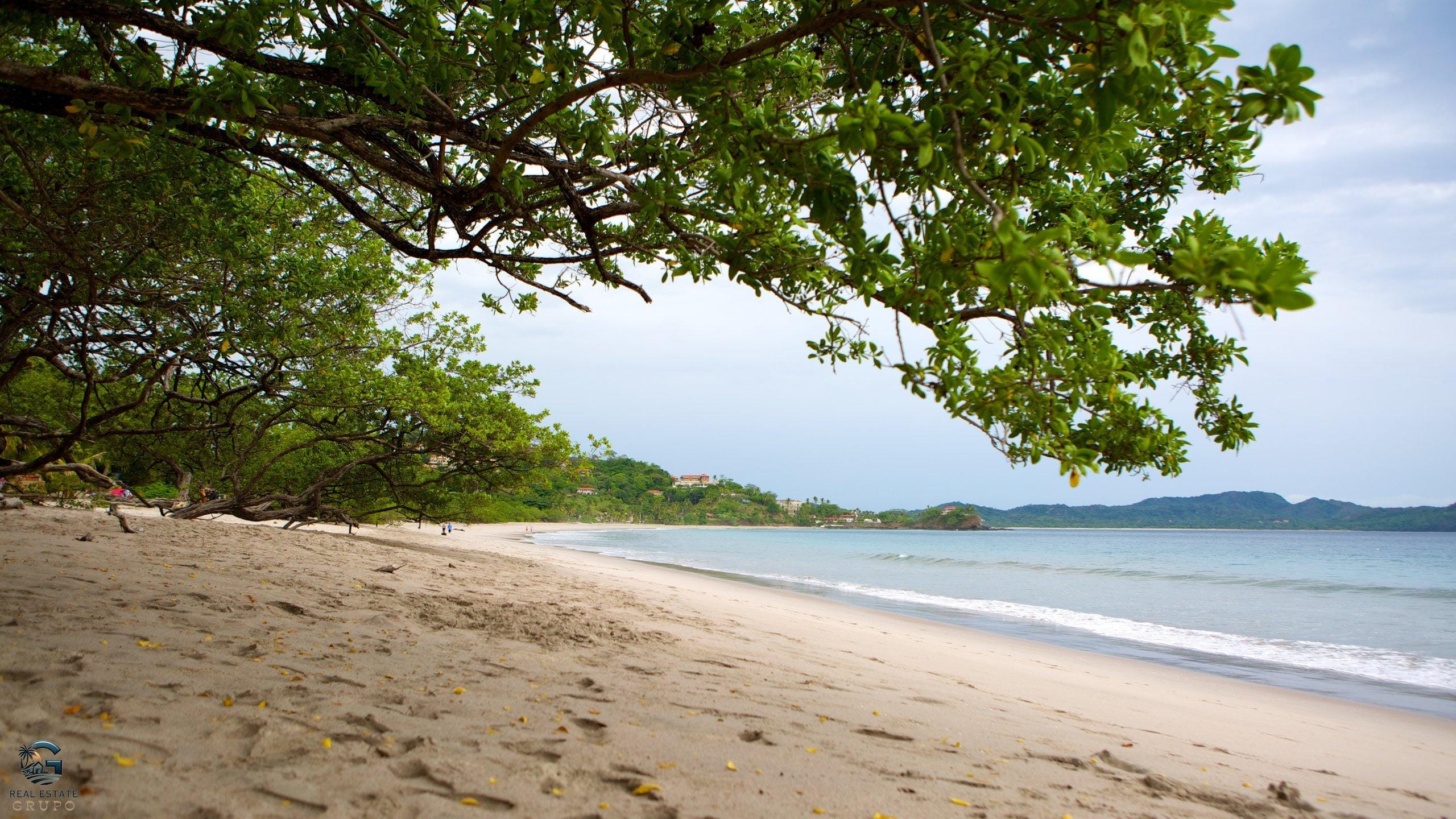 77628-Flamingo-Beach