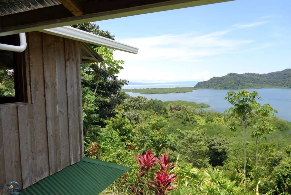 783abd61-ad36-4797-b636-651dec17dec0