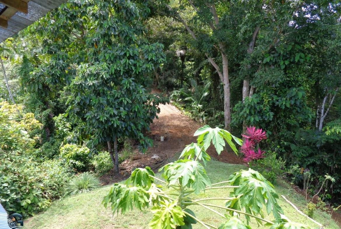 8272dd9d-c5c5-4eb5-8840-1e6ccac29af8