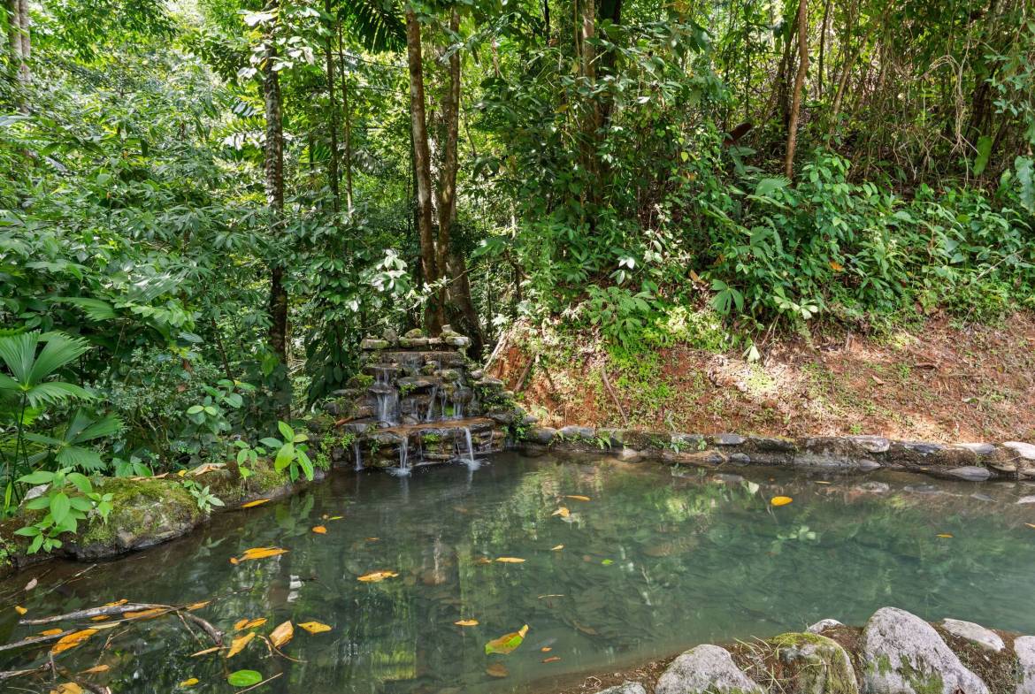 Ojochal-Estate-Home-and-Property_43