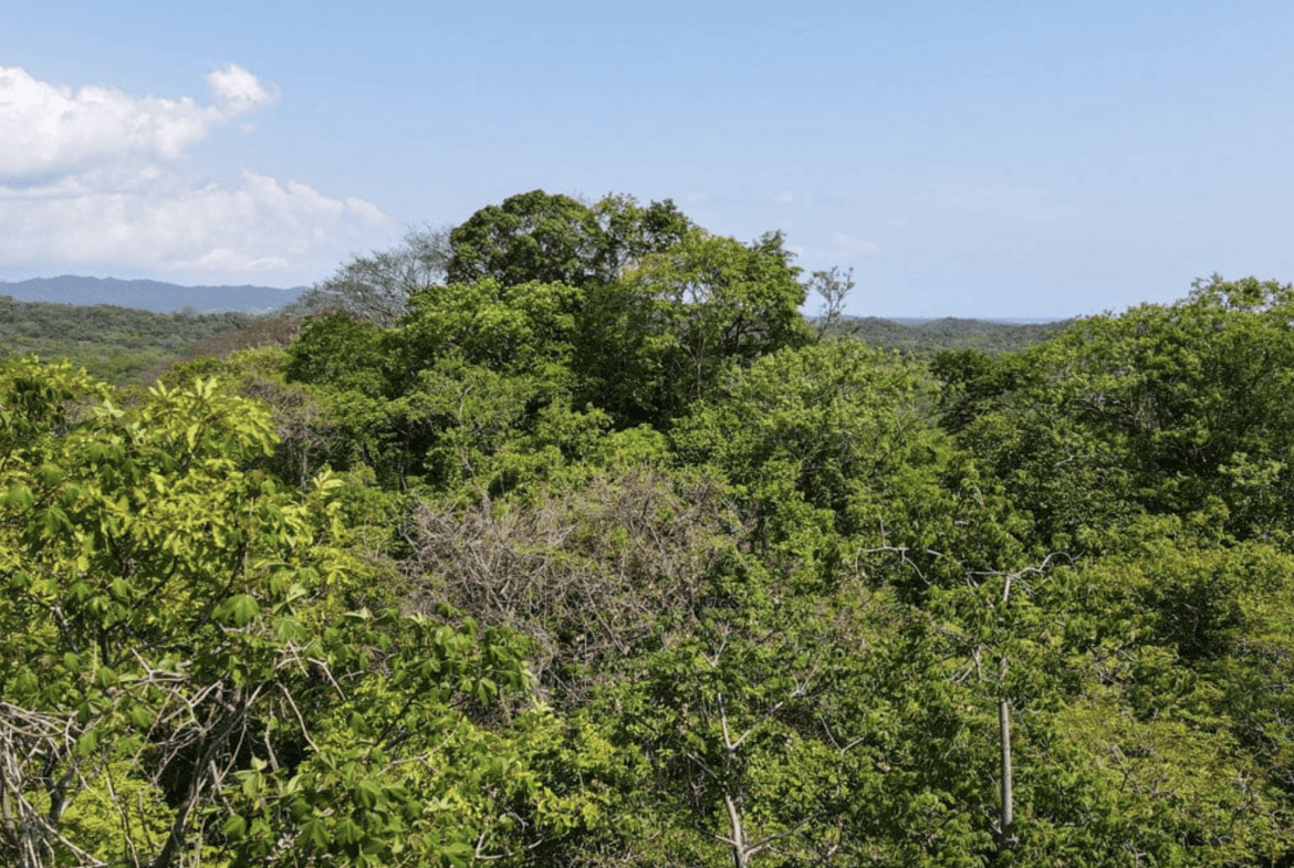 Screenshot 2024-01-23 at 17.03.13