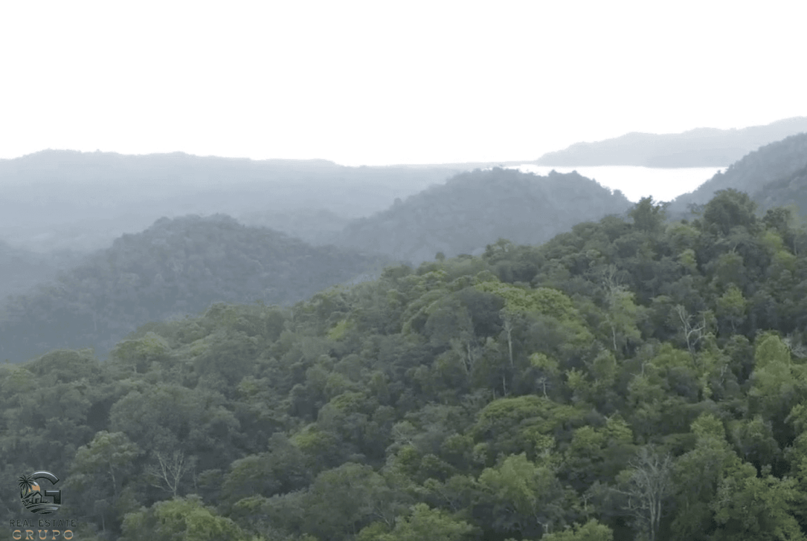 Screenshot 2024-01-26 at 14.37.37