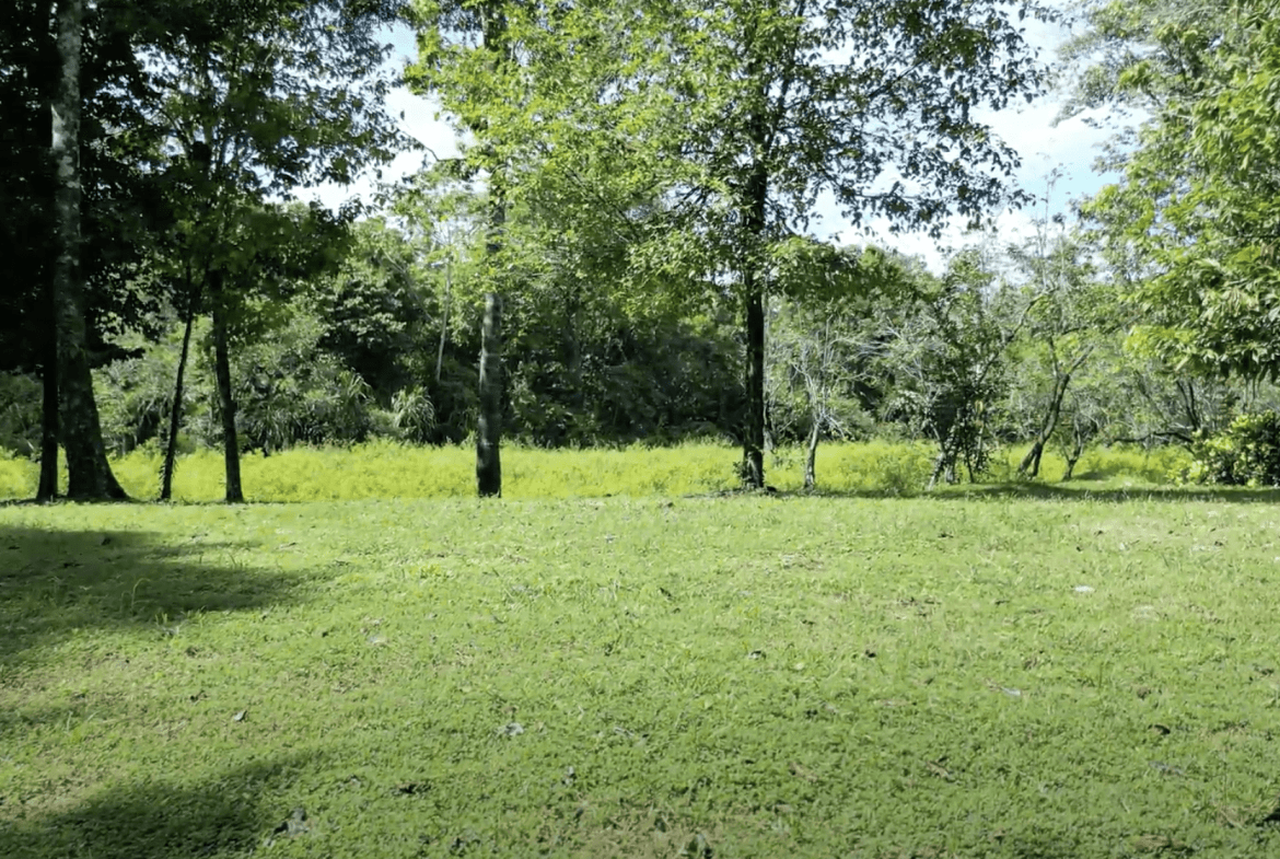 Screenshot 2024-01-26 at 14.57.43