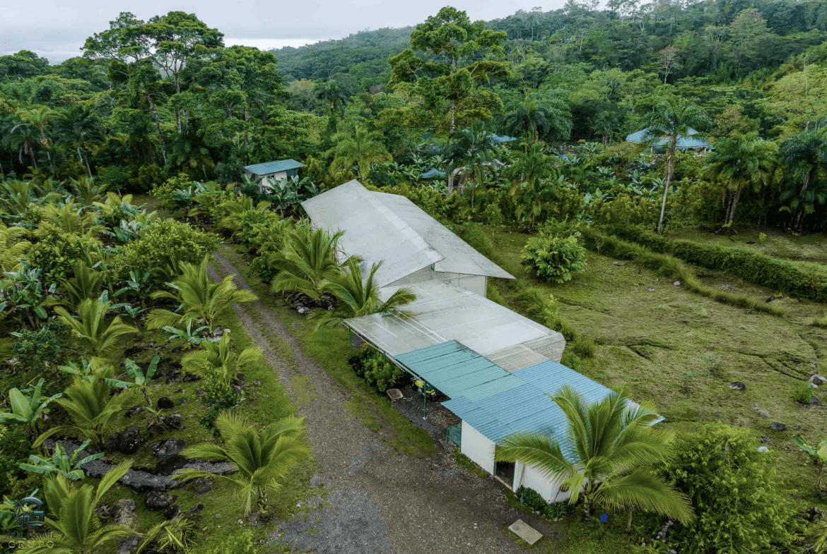 Screenshot 2024-01-28 at 11.03.06