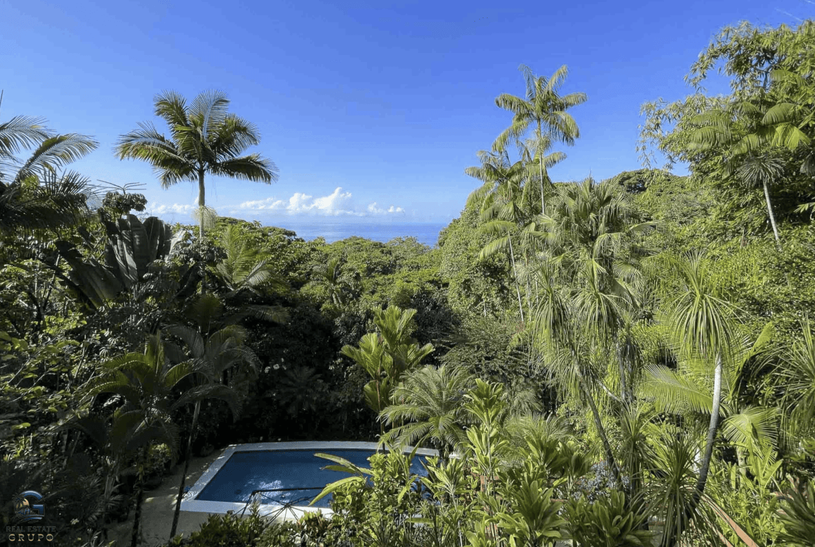 Screenshot 2024-01-28 at 16.32.14