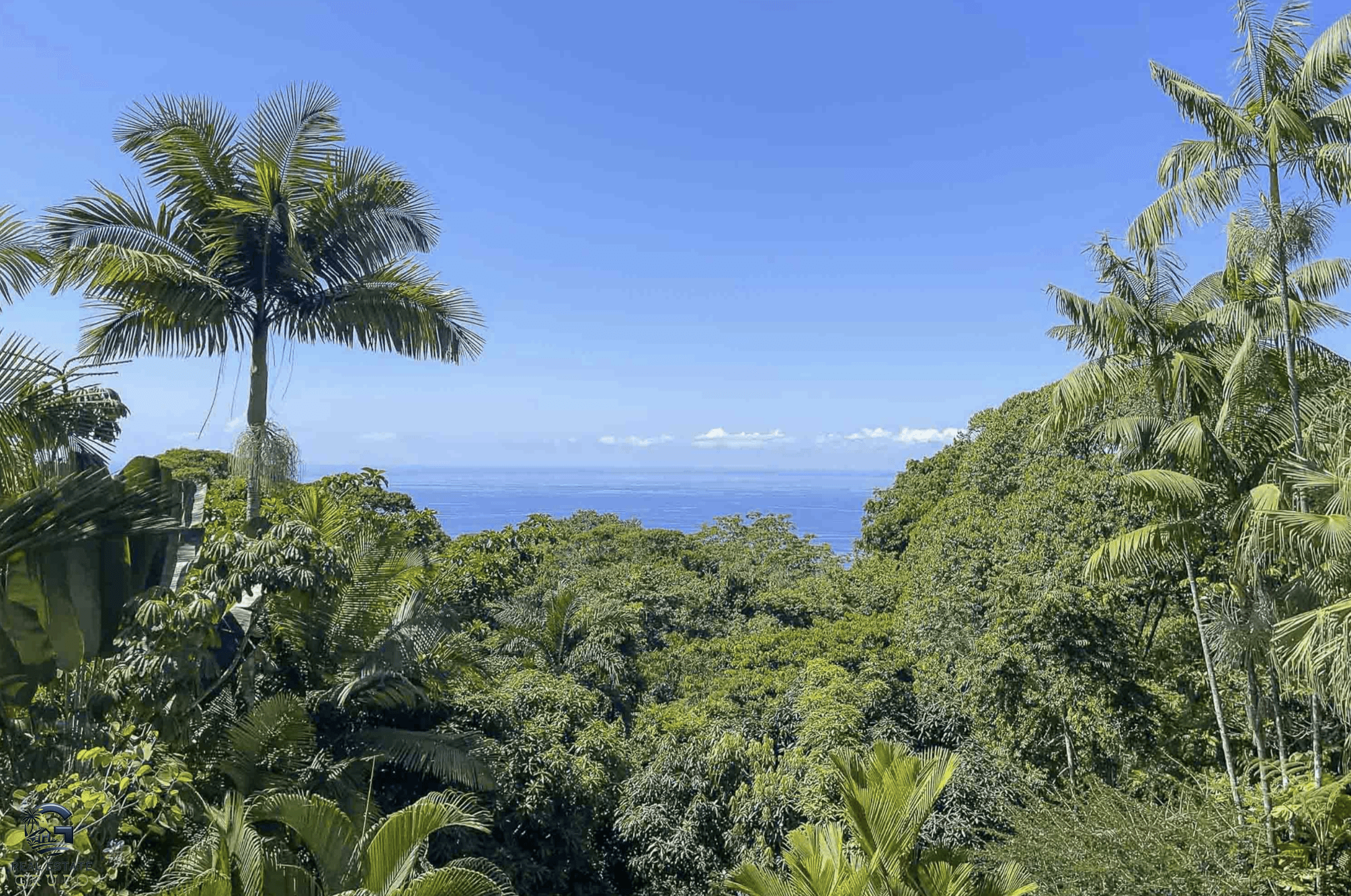 Screenshot 2024-01-28 at 16.32.26