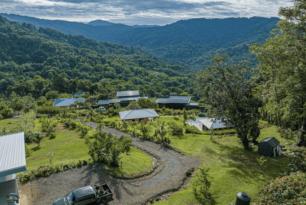 Screenshot 2024-01-29 at 12.16.23