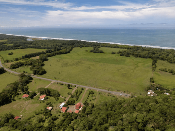 Screenshot 2024-01-29 at 13.55.41