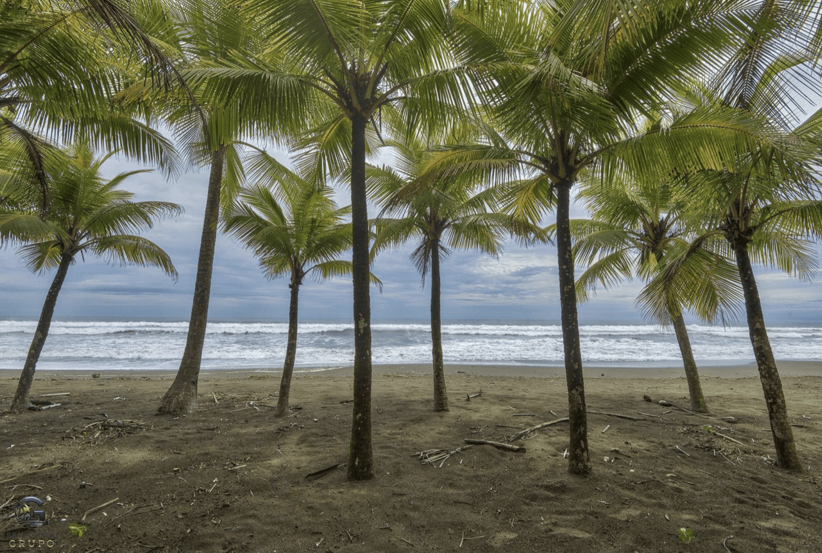 Screenshot 2024-01-29 at 13.55.54