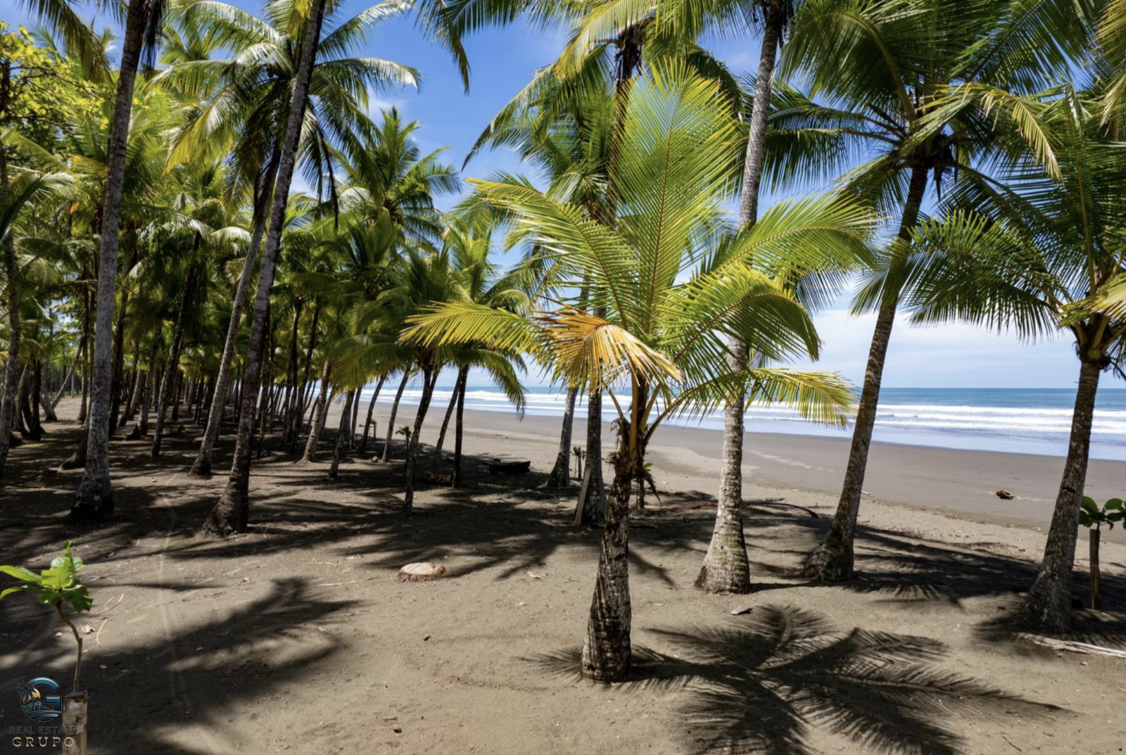 Screenshot 2024-01-29 at 13.56.17