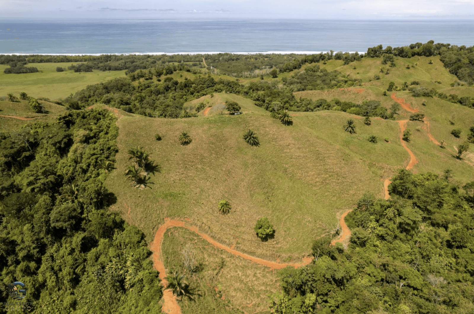 Screenshot 2024-01-29 at 13.56.24