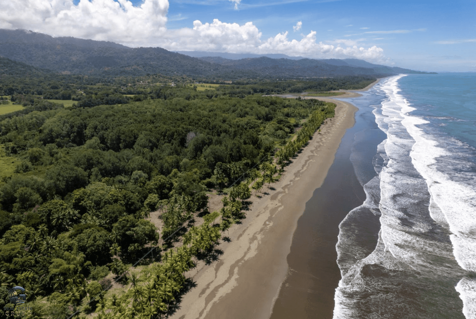 Screenshot 2024-01-29 at 13.56.56