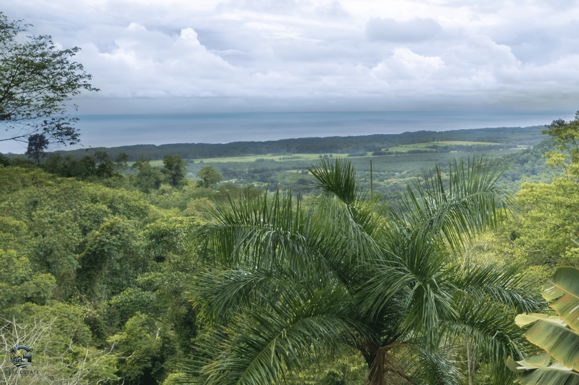 Screenshot 2024-01-29 at 15.07.31