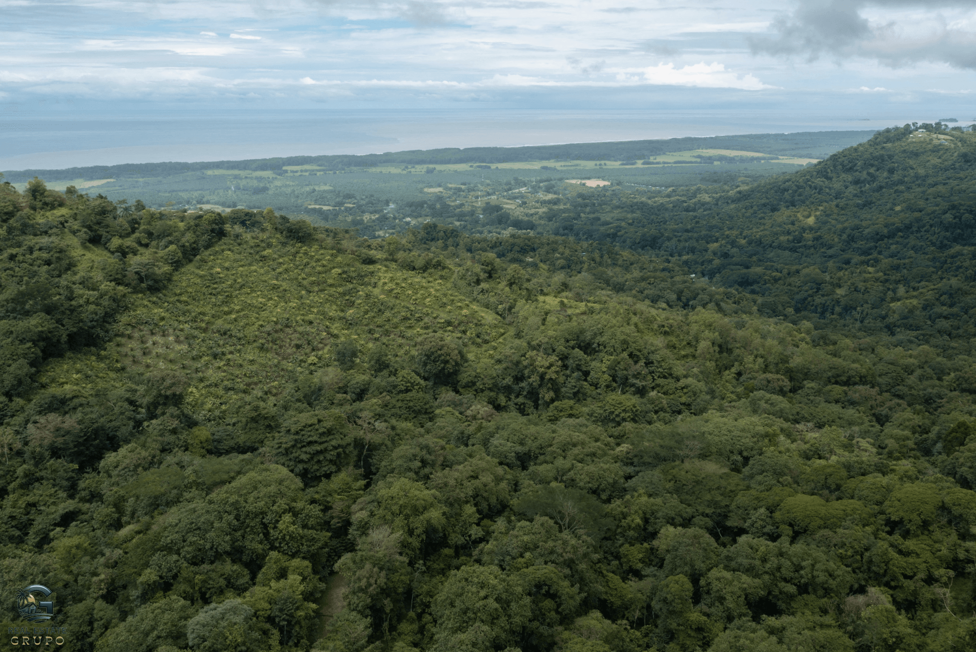 Screenshot 2024-01-29 at 15.12.07