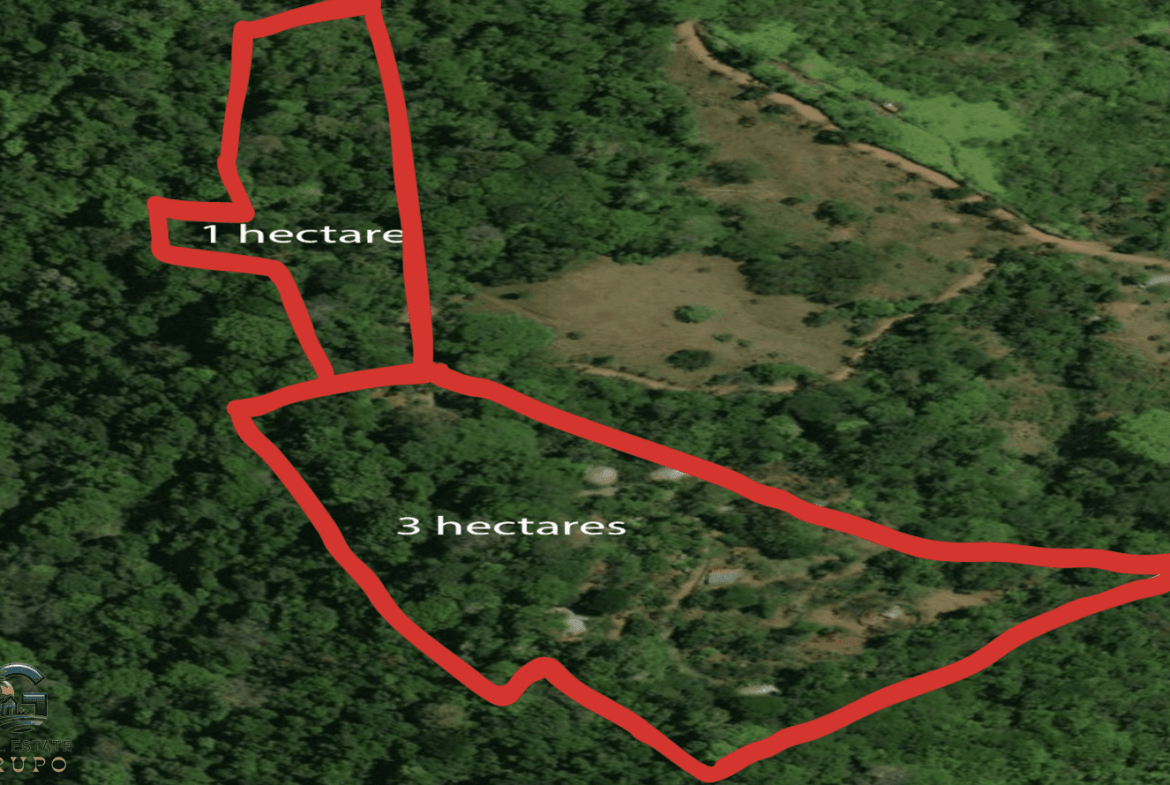 Screenshot 2024-01-29 at 15.48.15