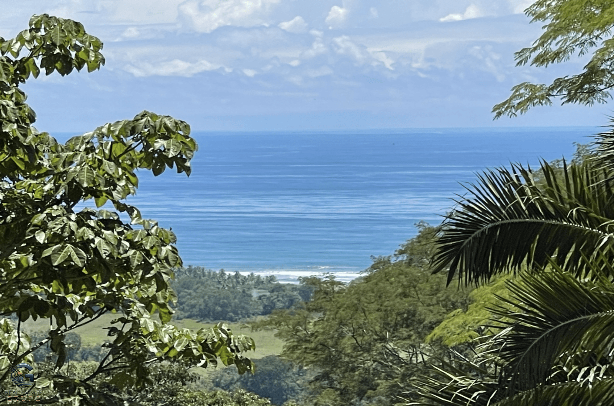 Screenshot 2024-01-29 at 16.31.58