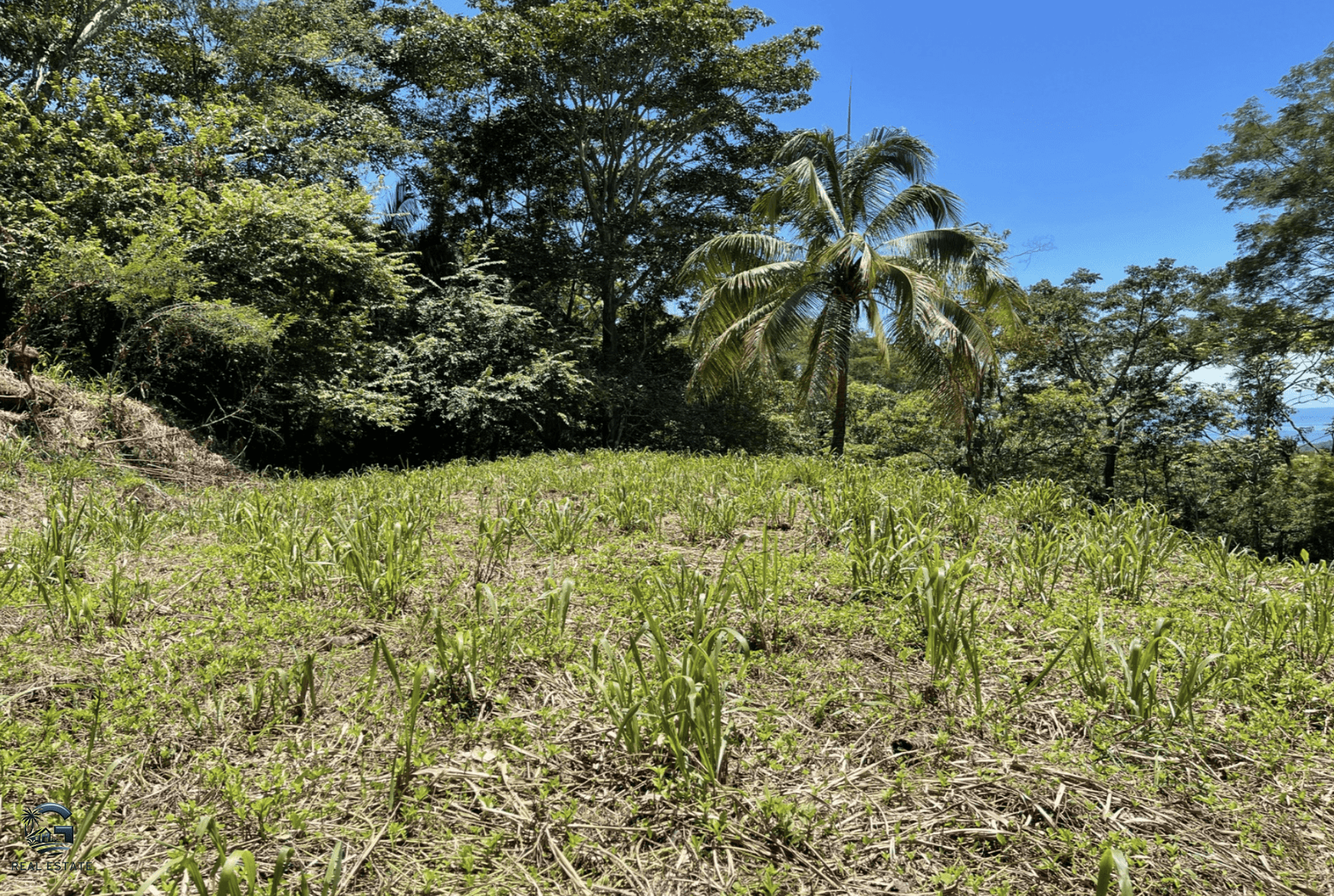 Screenshot 2024-01-29 at 16.32.06