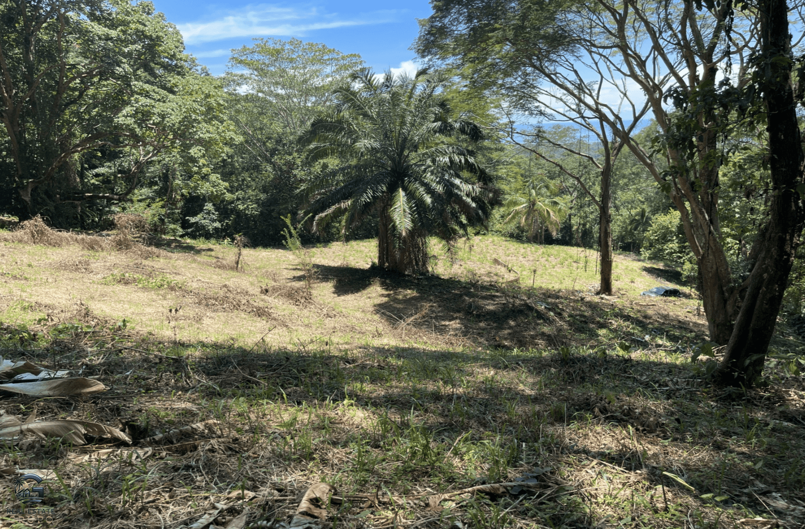 Screenshot 2024-01-29 at 16.32.34