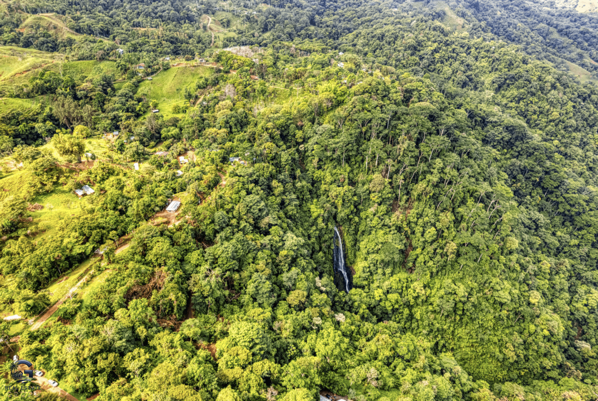 Screenshot 2024-01-29 at 17.15.00