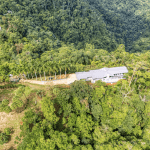 Screenshot 2024-01-29 at 17.15.12