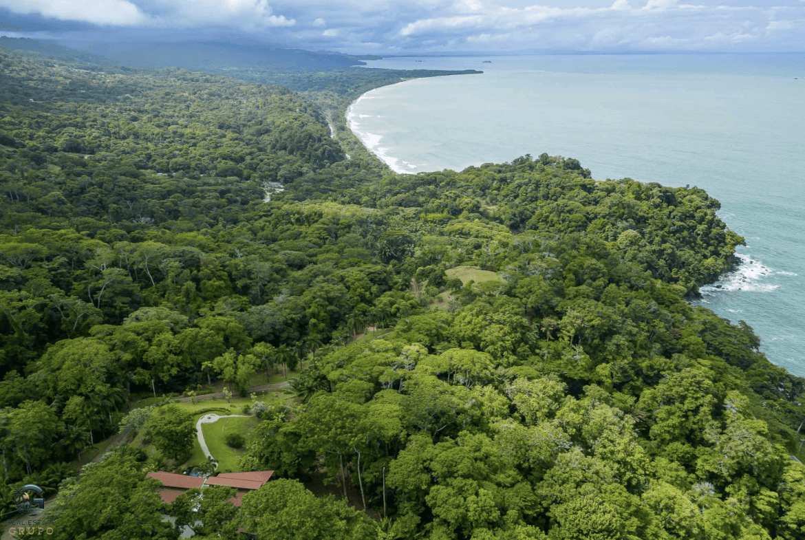 Screenshot 2024-01-29 at 17.30.57