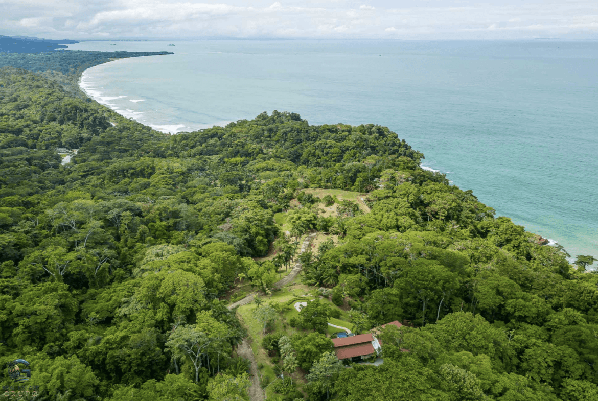 Screenshot 2024-01-29 at 17.31.57