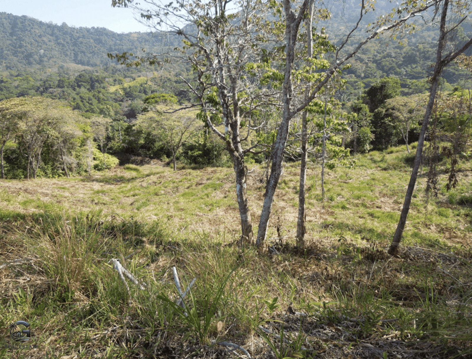 Screenshot 2024-01-30 at 07.13.26