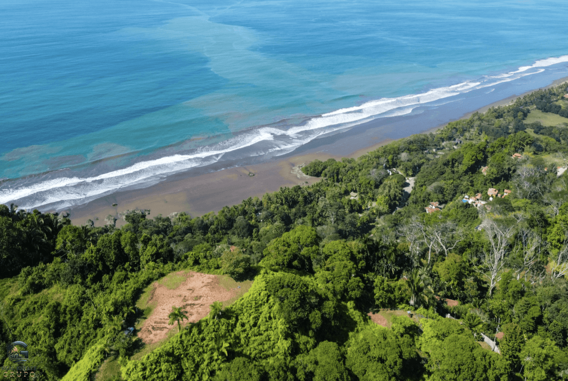 Screenshot 2024-01-30 at 09.21.19