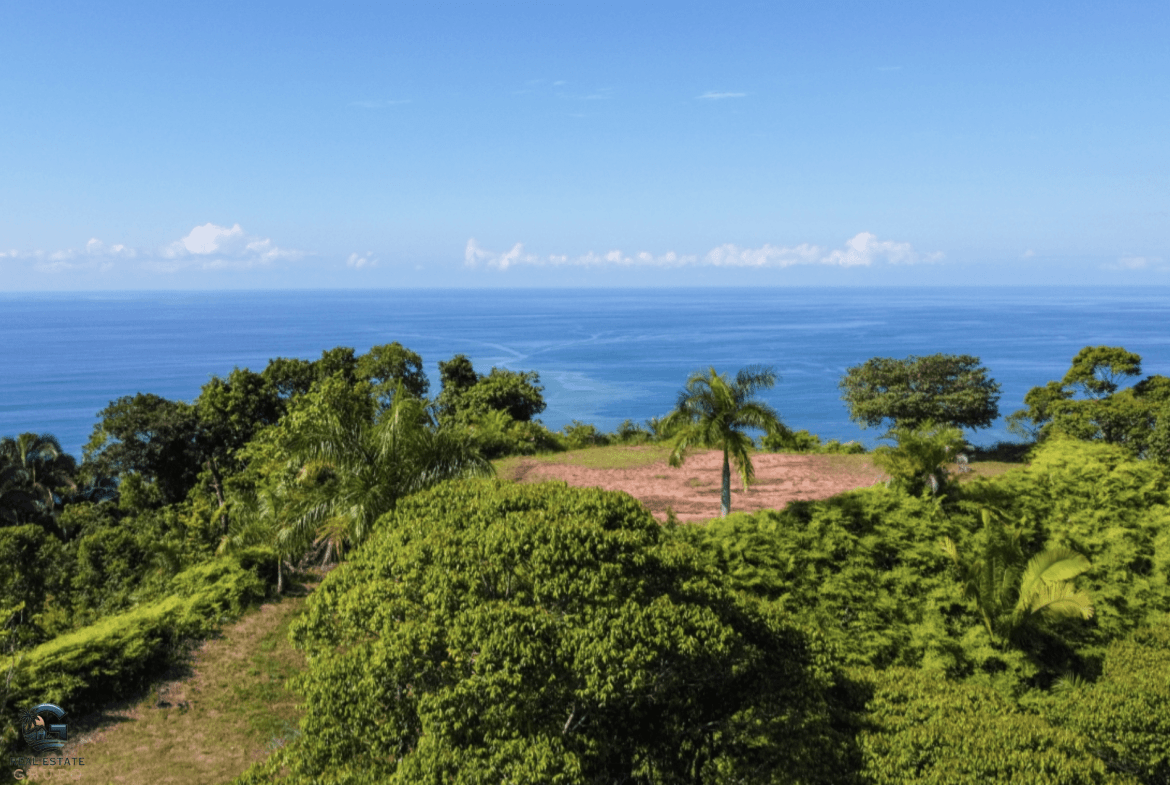 Screenshot 2024-01-30 at 09.21.41