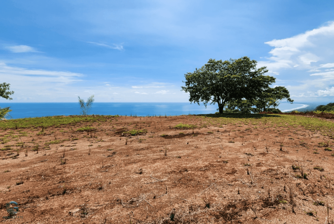 Screenshot 2024-01-30 at 09.21.50