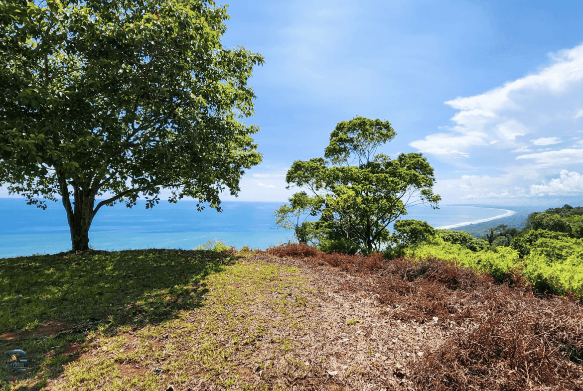 Screenshot 2024-01-30 at 09.22.00