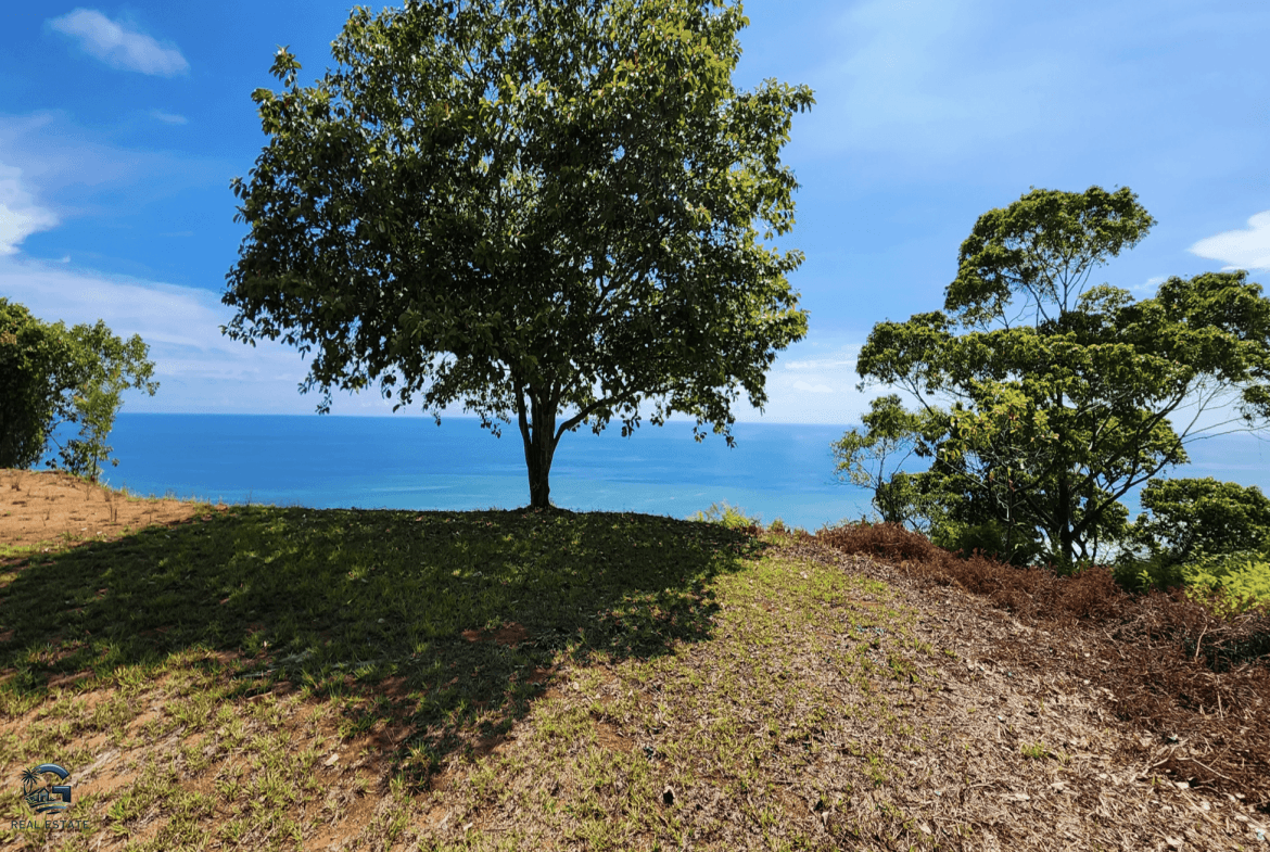 Screenshot 2024-01-30 at 09.22.44