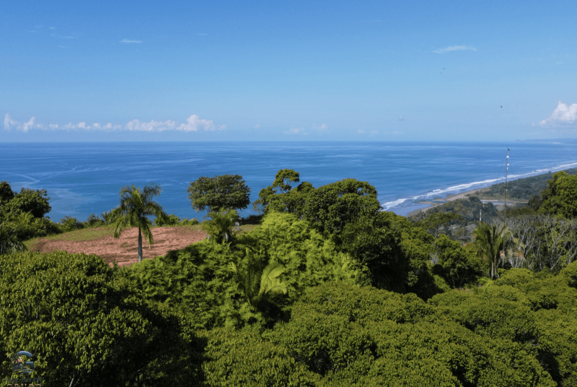 Screenshot 2024-01-30 at 09.22.51