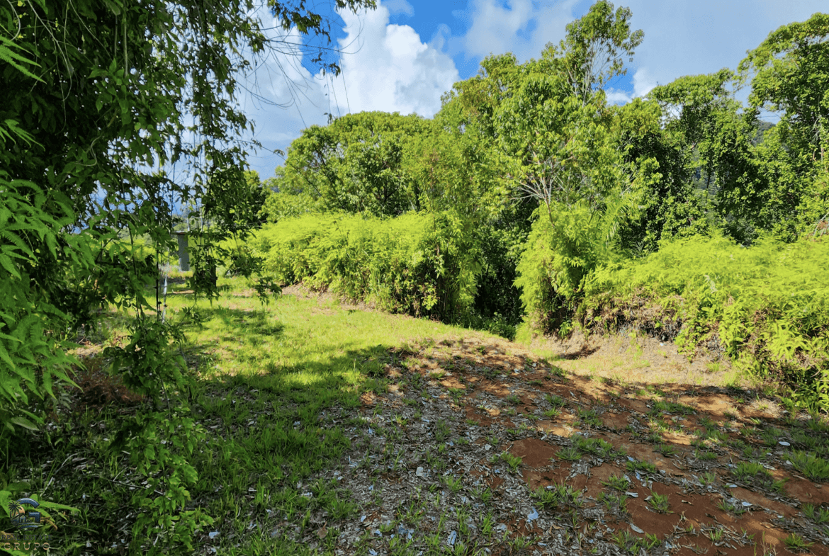 Screenshot 2024-01-30 at 09.23.29