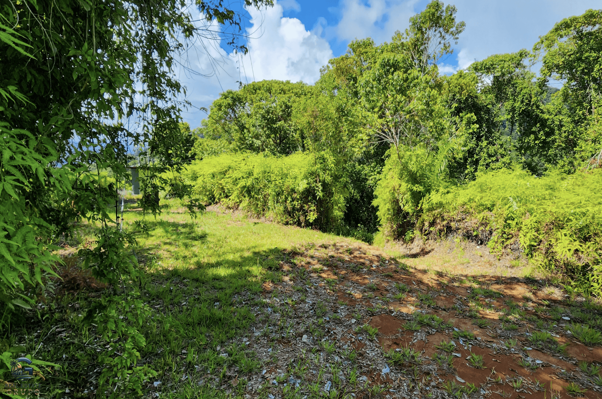 Screenshot 2024-01-30 at 09.23.29