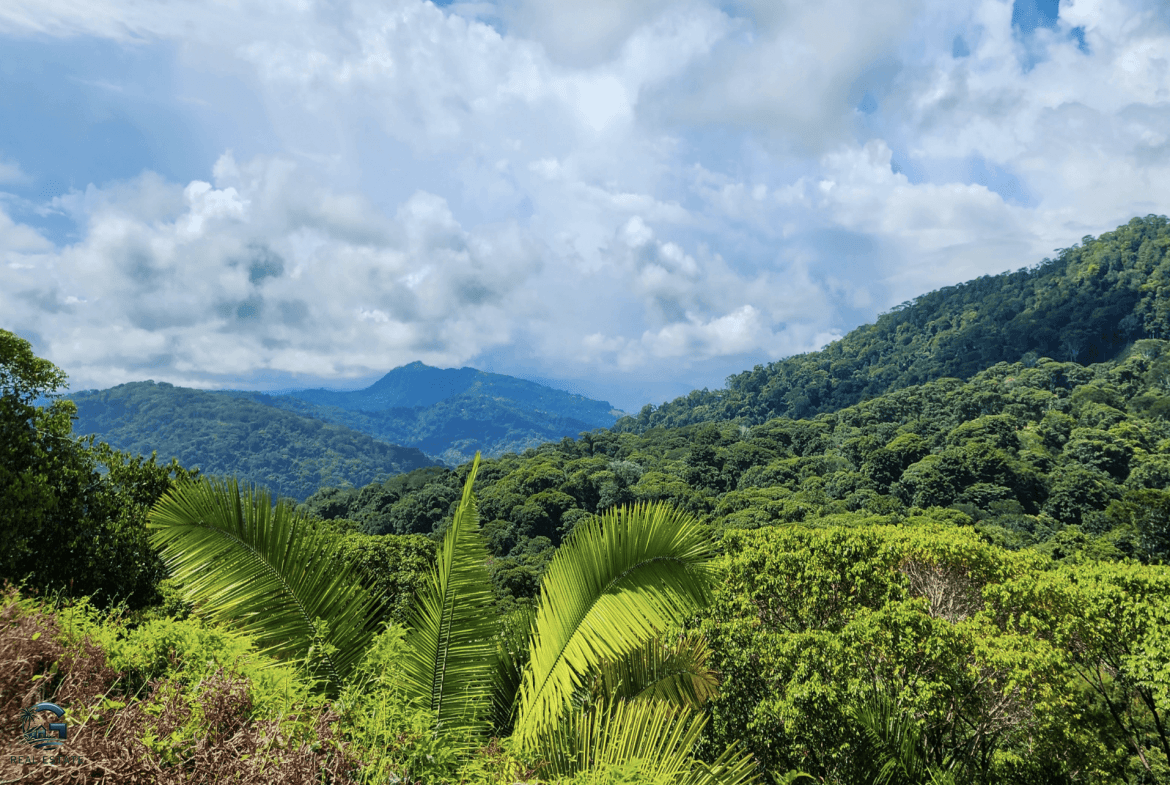 Screenshot 2024-01-30 at 09.23.50