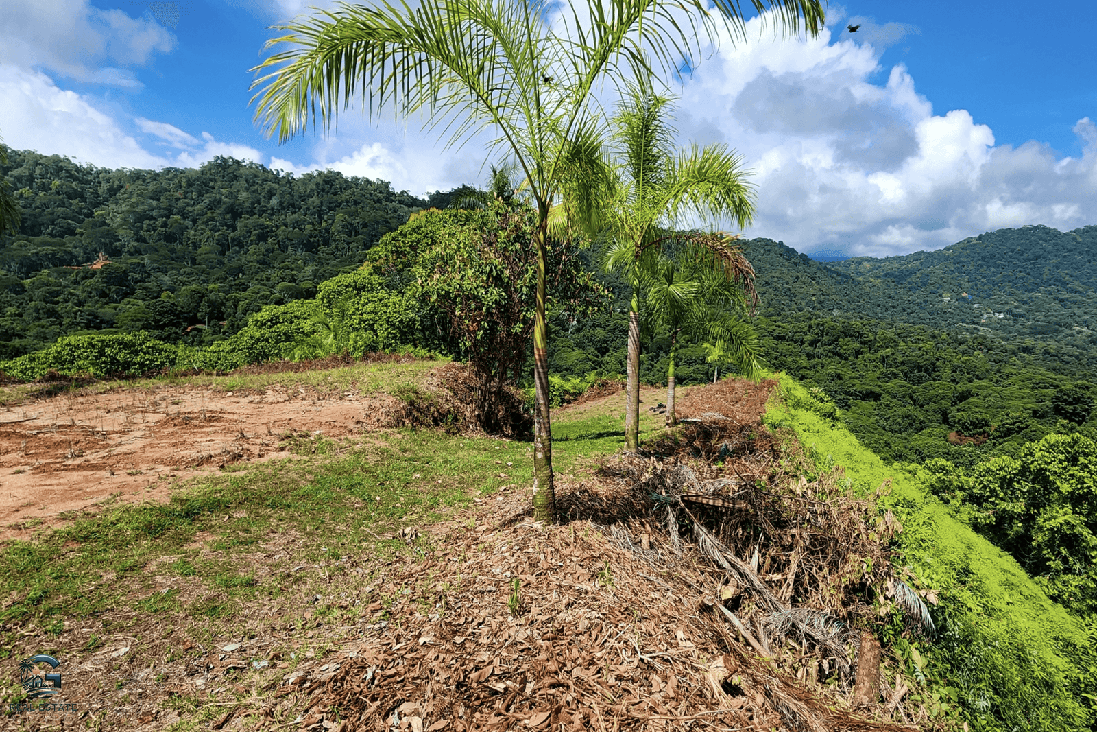 Screenshot 2024-01-30 at 09.24.33