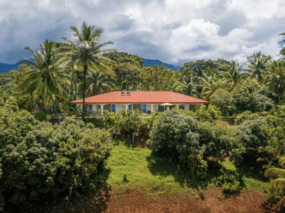 Screenshot 2024-01-31 at 07.11.09