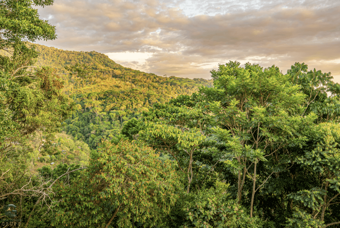 Screenshot 2024-01-31 at 07.34.56