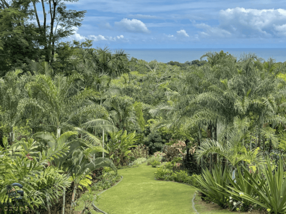 Screenshot 2024-01-31 at 14.01.26