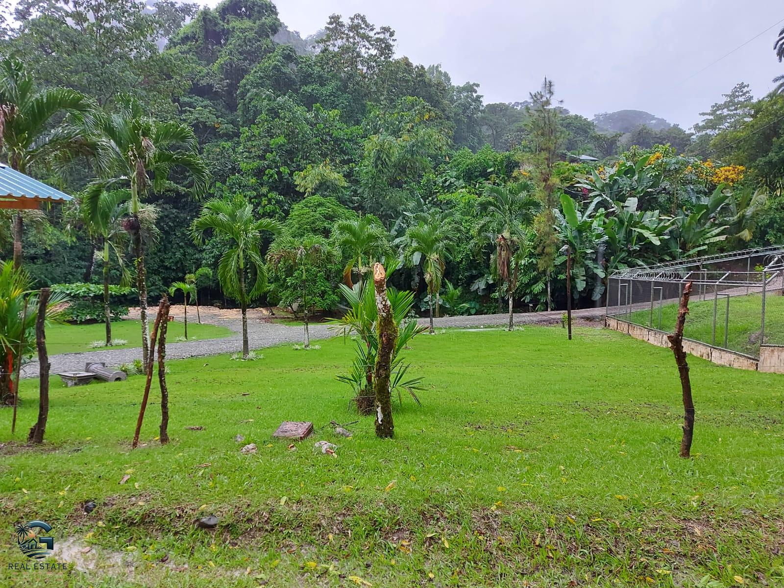 WhatsApp Image 2024-01-27 at 11.43.54