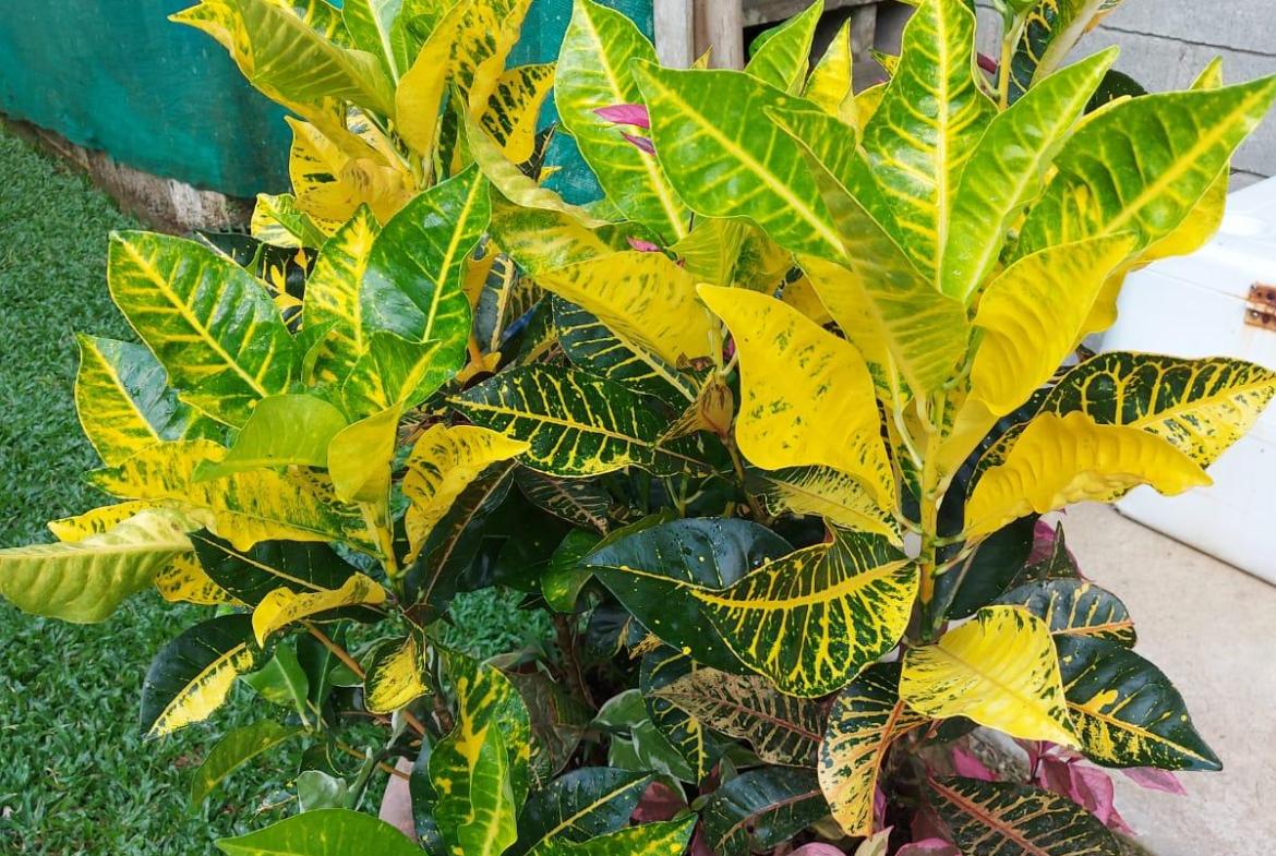 WhatsApp Image 2024-01-27 at 11.43.55 (1)