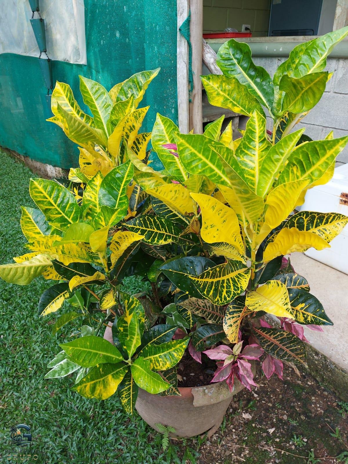 WhatsApp Image 2024-01-27 at 11.43.55 (1)