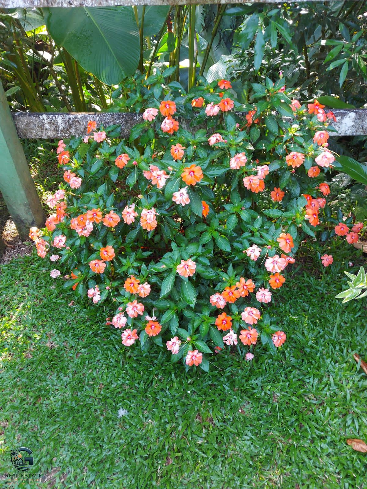 WhatsApp Image 2024-01-27 at 11.43.55