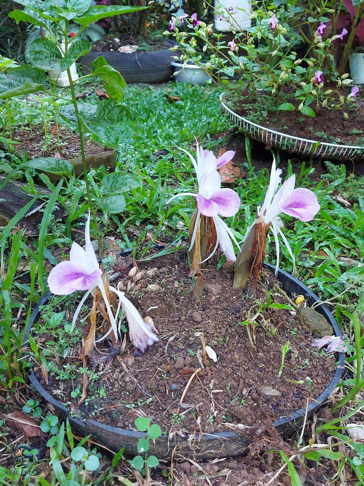 WhatsApp Image 2024-01-27 at 11.43.56 (1)